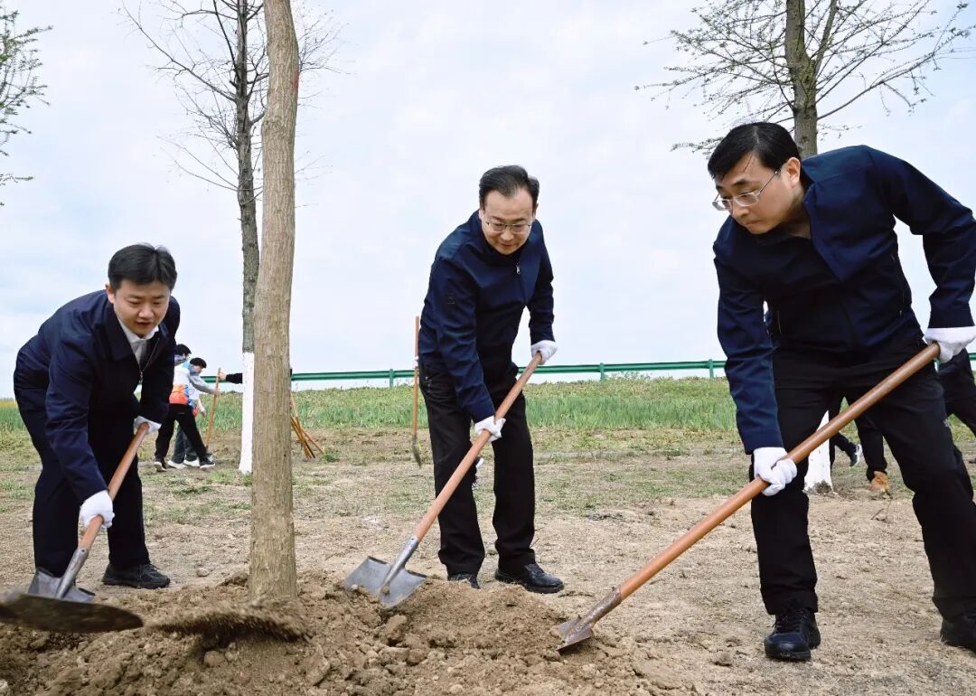 ʡ�ߺϷ��е������쵼��ɲ�Ⱥ������ֲ��